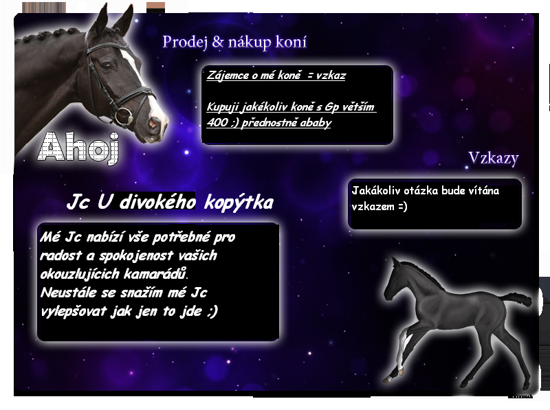 romca_2013